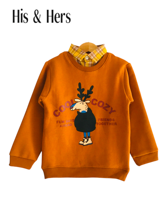 Cool Cozy Carrot  Double Sweatshirt Boys 003