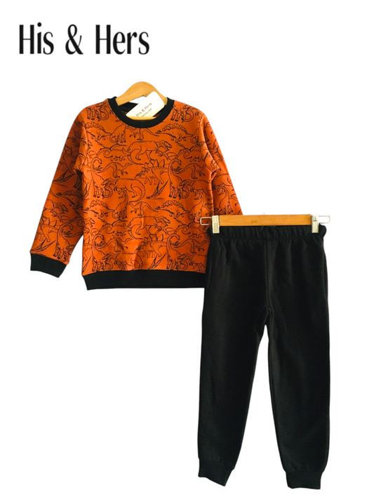 Dinosaur Orange Tracksuit Boys 006 D